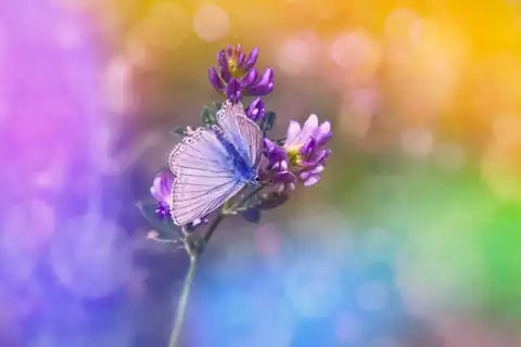 La teoría del caos causas de sus efectos y consecuencias